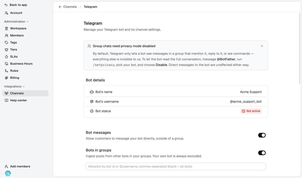 Bot details after connecting